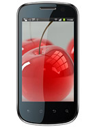 Best available price of Celkon A19 in Saintlucia