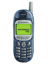 Best available price of Motorola T190 in Saintlucia