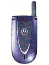 Best available price of Motorola V66i in Saintlucia